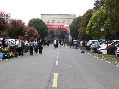 赤壁：鲜花换纸钱 让清明更“清明”