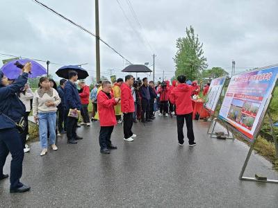 油菜科学用药观摩会在赤壁市举办
