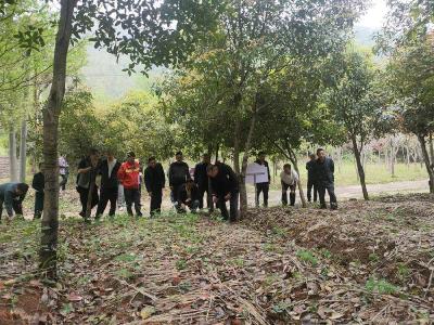 实干练兵强本领 官塘驿林场调研促提升