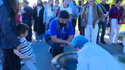 手工制茶劳动竞赛 中外友人体验赤壁茶文化