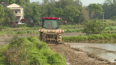春天里·万象“耕”新 | 化肥平价直供 农机力保春耕