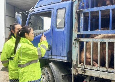 “00后”赵欣朵：扎根赤壁基层的“满分”女兽医