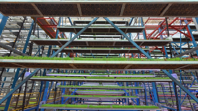 春天里·聚力攻坚 | 秧苗坐上“电梯” 智能化育秧效率高