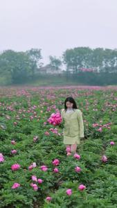 芍药满东柳，花开入画来