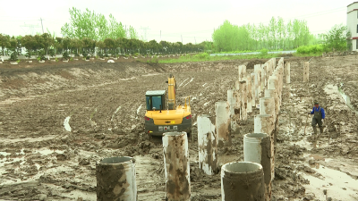 黄鳝大规格苗种供应基地加速推进 力争实现一年养四季、苗期缩短至6个月