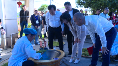 赤壁市举办2026年“赤壁青砖茶·松峰杯”手工制茶劳动和技能大赛暨第四届“百家茶馆进茶园”活动