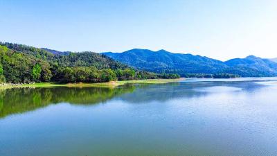 春天里·共赴春约 | 陆水湖畔春意浓 生态风光入画来