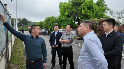 咸宁市水利和湖泊局调研组来赤壁市调研防汛工作