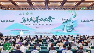 茶旅大会传喜讯 湖北茶发集团获国家级授牌