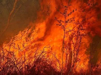 清明将至，这份“防火安全提示”务必收好！