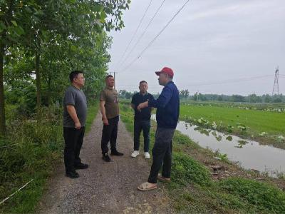 精准赋能乡村振兴 赤壁两山启动“解剖麻雀式”农业产业专项调查