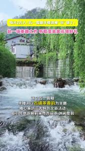 五一假期羊楼洞被“玩”嗨了