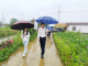 董方平到中伙铺镇调研娴子生态农场时强调：因地制宜深化“农业+”融合发展  以特色产业赋能乡村全面振兴