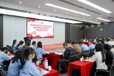 税企联学共建 支部主题党日聚力服务促发展