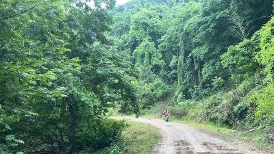 红林山林场修补防火“生命线” 守护绿色家园
