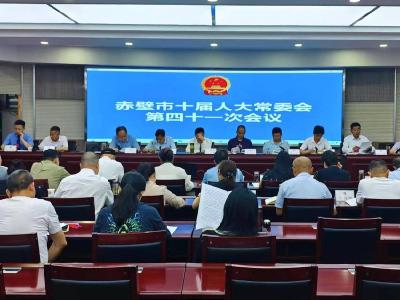 市十届人大常委会召开第四十一次会议