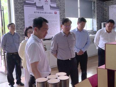 梁细林来赤壁市调研桂花产业发展工作