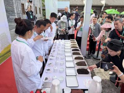 2026·湘鄂赣茶文化交流会暨首届湘鄂赣斗茶大会在赤壁开幕