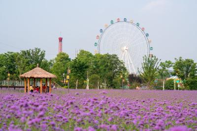 别让“采摘”辜负了城市的温柔