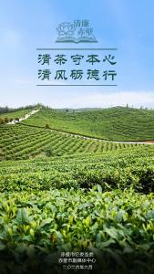 廉洁海报｜清茶守本心 清风砺德行