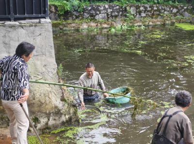 清塘除杂焕新颜 中伙铺镇长山社区聚力改善人居环境