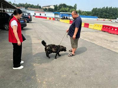 引导居民文明养犬 共建和谐宜居社区