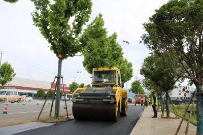 铆足干劲抢工期 实干筑路惠民生 市交投集团华祥路桥公司项目建设全速推进