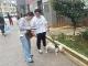 赤马港社区：上门登记犬只信息 引导居民依法文明养犬