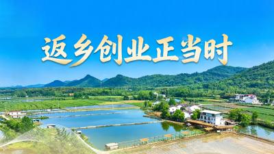 返乡创业正当时