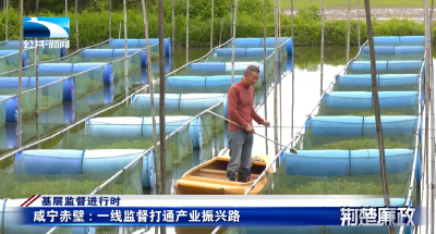 《荆楚廉政》报道赤壁：一线监督打通产业振兴路 