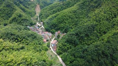 撤得快 安顿好 管得细——赤壁市茶庵岭镇中心坪村避险转移见闻