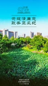 廉洁海报｜荷绽清廉意 政务正风纪