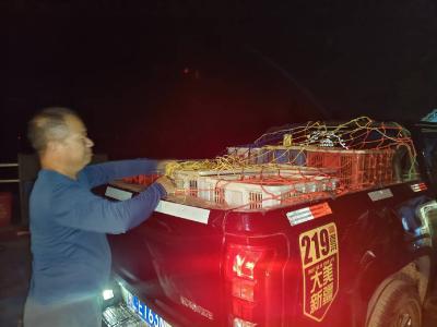 湖北日报：23点的渡口亮了 赤壁用一趟“加班船”托起乡村致富梦