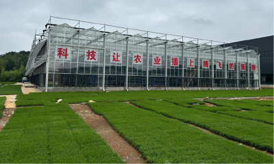树立和践行正确政绩观｜中伙铺镇：优服务、兴项目、聚归雁、激活力 实干赋能高质量发展