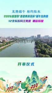 2026赤壁市赤壁青砖茶杯端午龙舟赛启幕