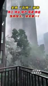 全市实行停工、停业、停产、停课、停运管控
