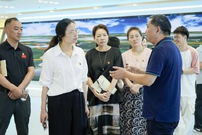 “两优一先”风采 | 让党建融入业务 把党务工作做成了生产力——记咸宁市优秀党务工作者 市发展和改革局党组成员、机关党支部书记占婷