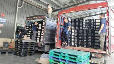 赤壁爱心企业捐赠物资支援黄冈、鄂州