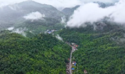 湖北赤壁：一帘云雾染青山 半湖烟波醉赤壁