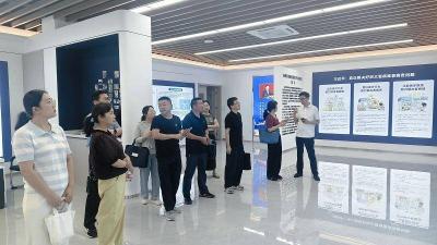 赤壁市顺利完成国家慢性病综合防控示范区复审交叉技术指导工作