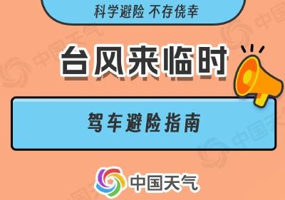 台风应对  不同场景避险指南（三）驾车场景