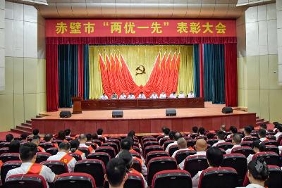 赤壁市“两优一先”表彰大会举行 以伟大建党精神为引领 共同谱写中国式现代化赤壁实践壮丽篇章