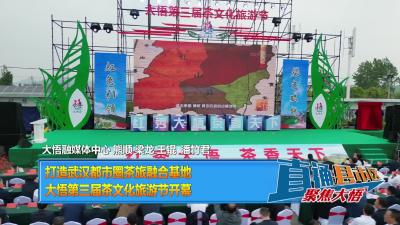 【直通县市区】打造武汉都市圈茶旅融合基地  大悟第三届茶文化旅游节开幕