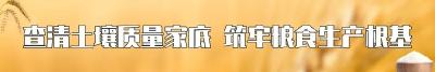 有情有义南漳人！抢收18吨爱心青菜驰援甘肃