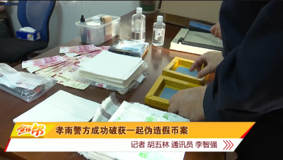 孝南警方成功破获一起伪造假币案