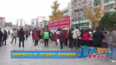 【直通县市区】安陆市开展2023年“宪法宣传周”集中宣传活动