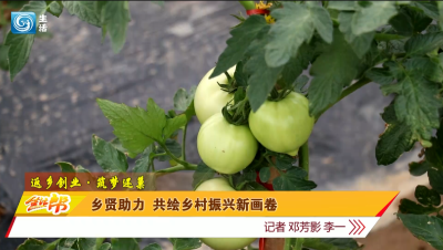 乡贤助力 共绘乡村振兴新画卷