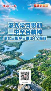 合集丨深入学习贯彻三中全会精神，湖北日报今日推出4个整版