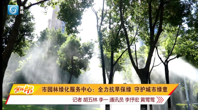 市园林绿化服务中心：全力抗旱保绿 守护城市绿意
