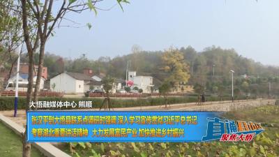 【直通县市区】张汉平到大悟县联系点调研时强调 深入学习宣传贯彻习近平总书记考察湖北重要讲话精神 大力发展富民产业 加快推进乡村振兴